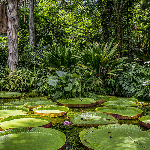 Tour Ande & Amazzonia