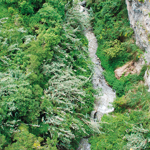 Tour Ande & Amazzonia