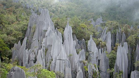 Gungung Mulu National Park