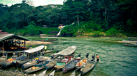 Taman Negara