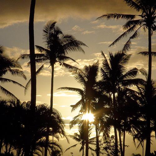 Romantiche Isole Fiji