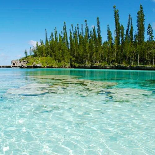 Isola dei Pini Relax