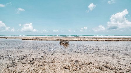 PORTO DE GALINHAS